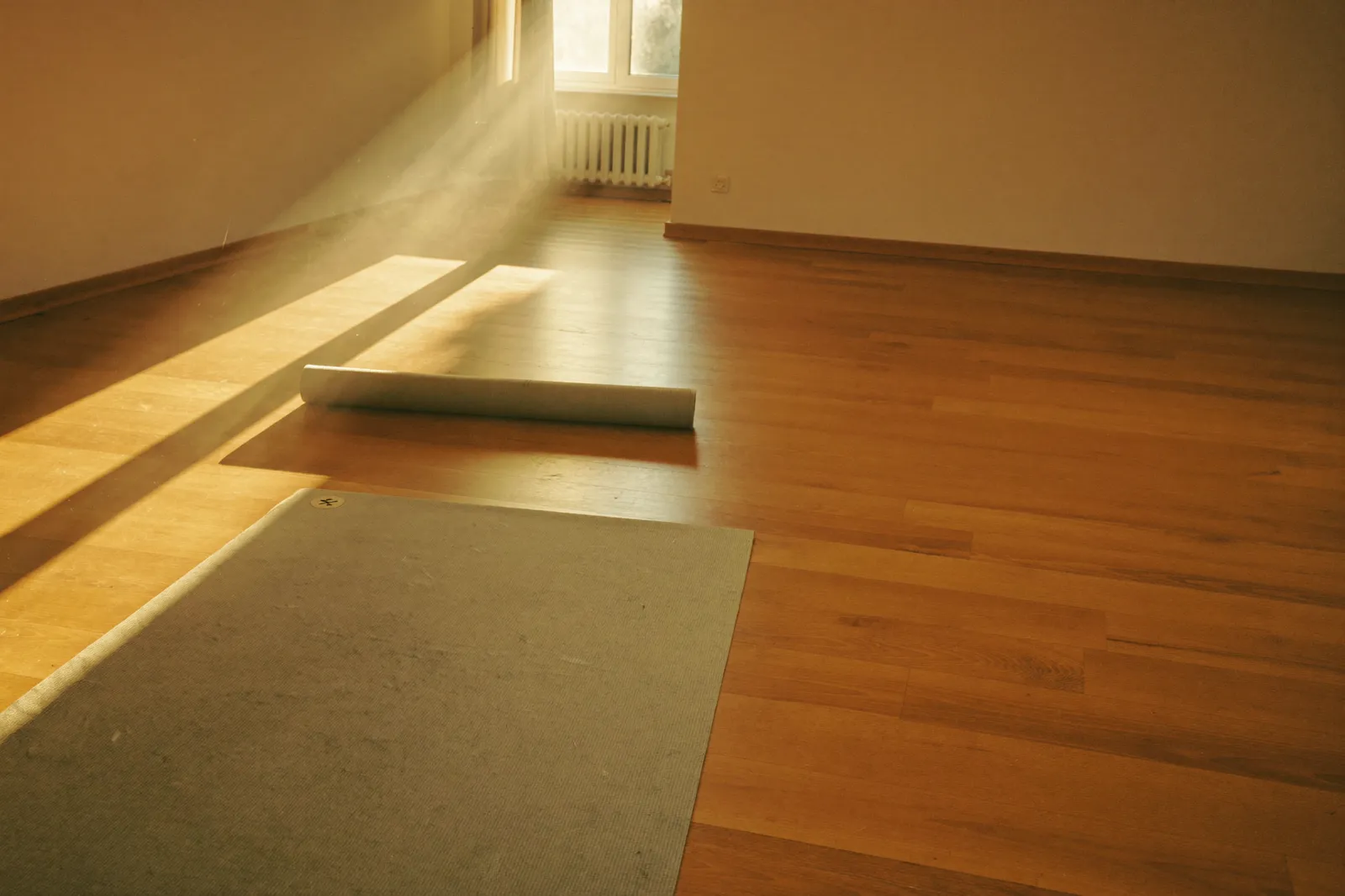 First light on the studio floor