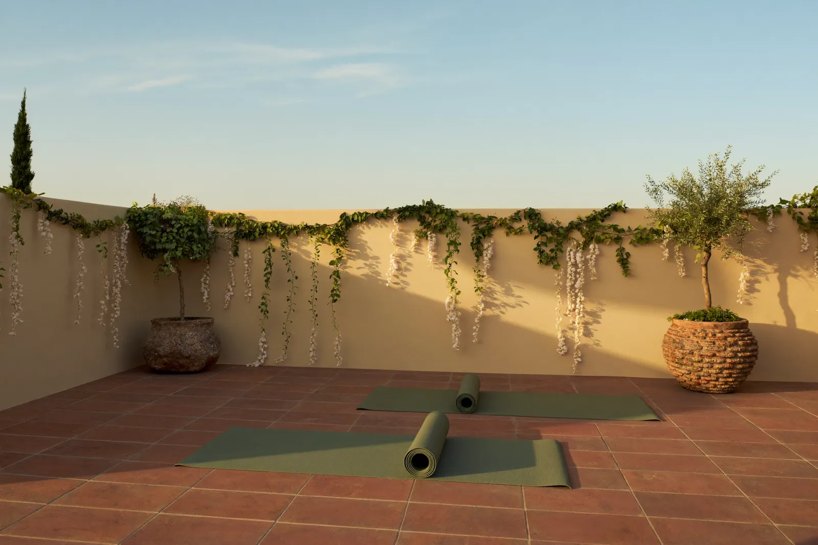 The practice terrace in sunrise light